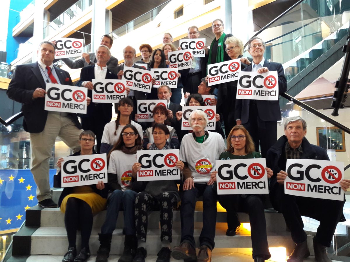 #PlenPE #Strasbourg Action du groupe <a href="/GreensEP/">-</a> en soutien aux grévistes de la faim pour dire #GCOnonMerci. Le #GCO est le projet d'une époque révolue et est une aberration alors que la lutte pour sauver le #climat doit être la priorité de tous notamment au niveau des territoires.