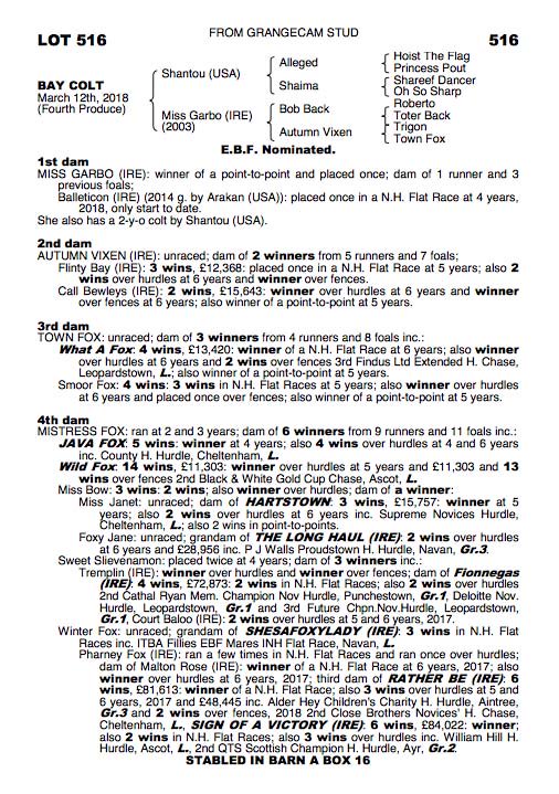 Consigned by Grangecam Stud, Lot 516 colt by Shantou (@BurgageStud) is knocked down for €30,000 to Moanmore Stud @tatts_ireland November NH Sale. He is a half-brother to point-to-point winner MISS GARBO #TattsNovember #readallaboutit