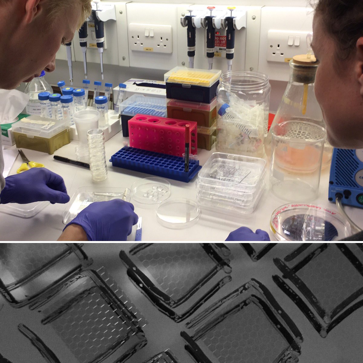 ActonLab's tweet image. Exciting day! Setting up #micropattern printing in the lab for our favourite #stroma
@hlhorsnell2 and Our collaborator Anna from @XavierTrepat group in Barcelona getting busy!