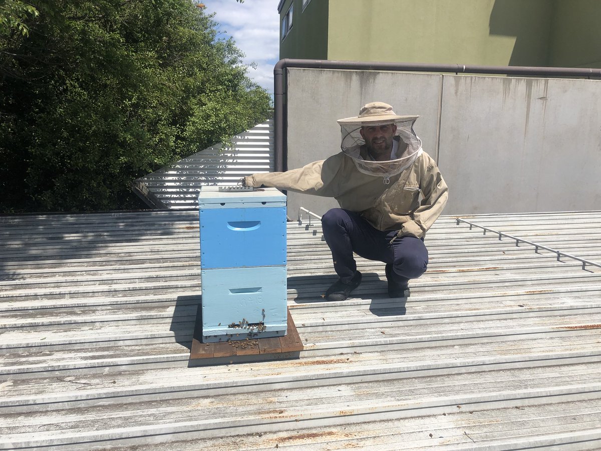 Ash Davis tweet media