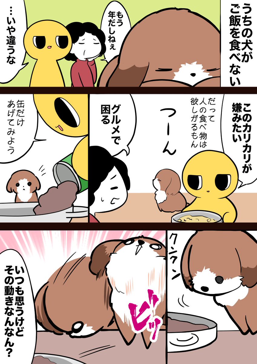 うちの犬が色々ヘタで可愛い #ヒトモドキ日記 