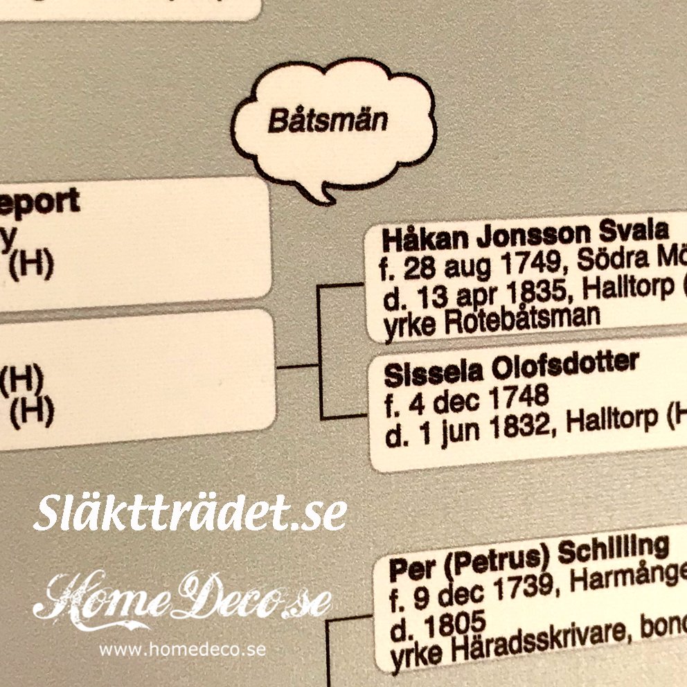 Slakttrad Hashtag V Twitter