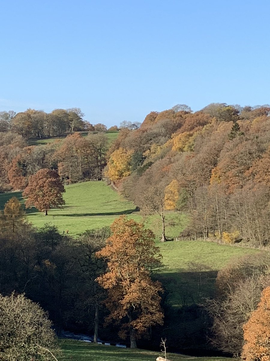 These #autumnleaves are just phenomenal - view taken over the #danevalley back towards the #shepherdhuts. Nice #bluesky too! #retreatandsavour #peakdistrict #letsgooutside