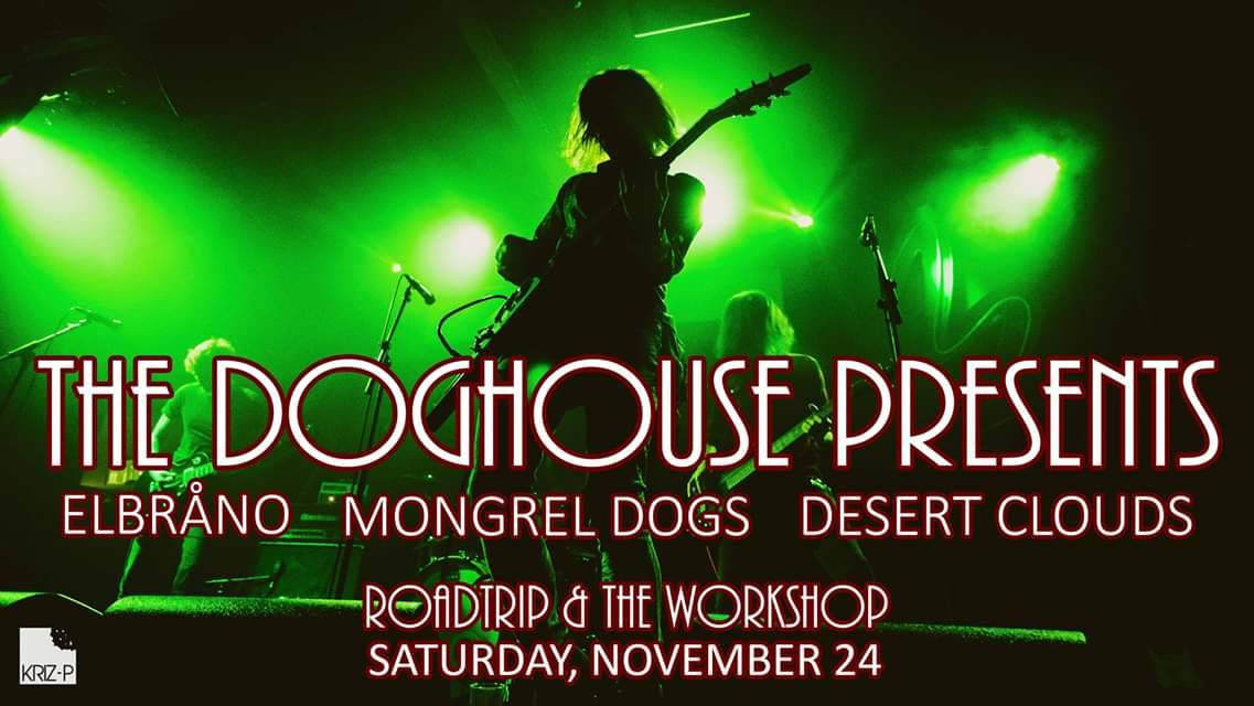 Mongrel Dogs tweet media