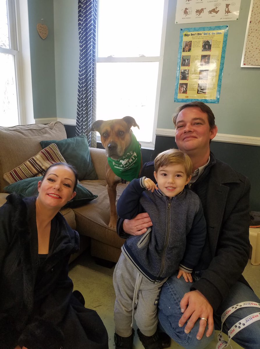 petsalive's tweet image. Tucker ADOPTED!!!!