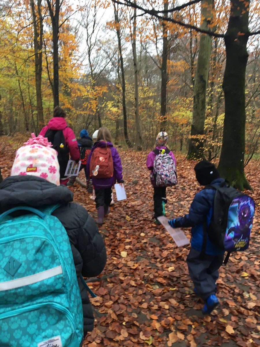 Årskurs 1 besöker bokskogen. Vi har till och med sett en ekorre @stenkulaskolan
