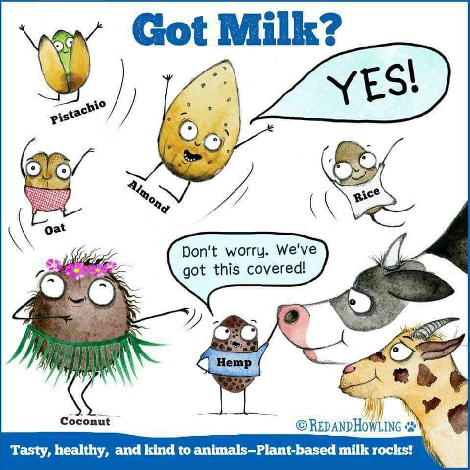 Vegan Power Ⓥ tweet media