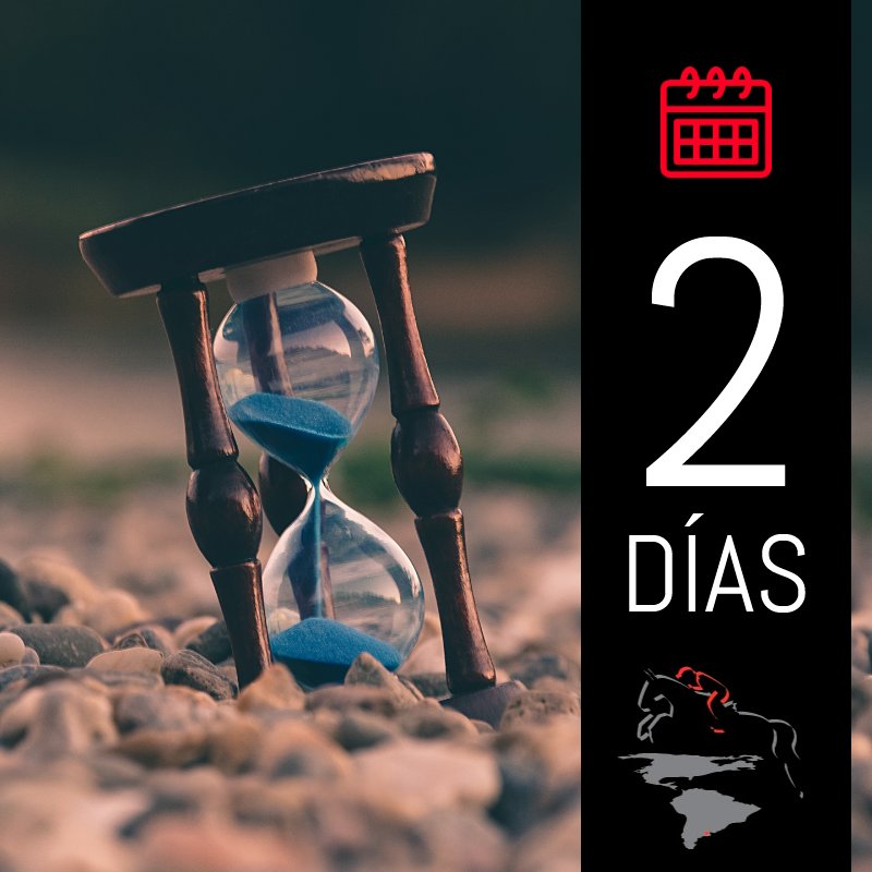 Fiesta Hípica a la vista!!!! <a href="/haraselcapricho/">Haras El Capricho</a>