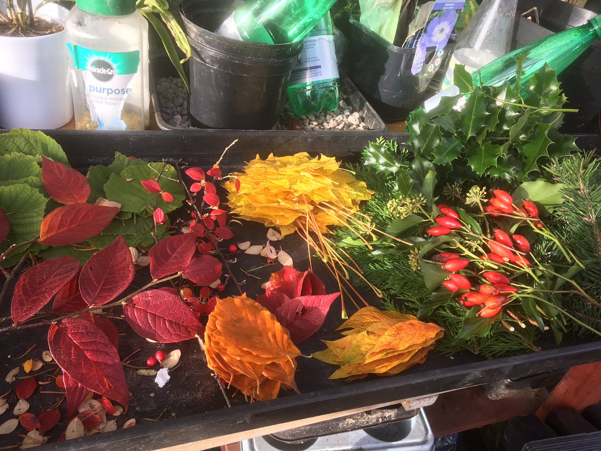 Getting ready for Saturday’s scavenger hunt! #familygardening #autumnleaves