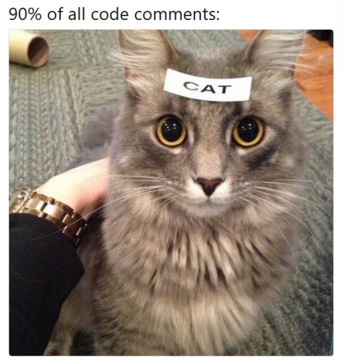 IOAcademyUK's tweet image. #coderhumour