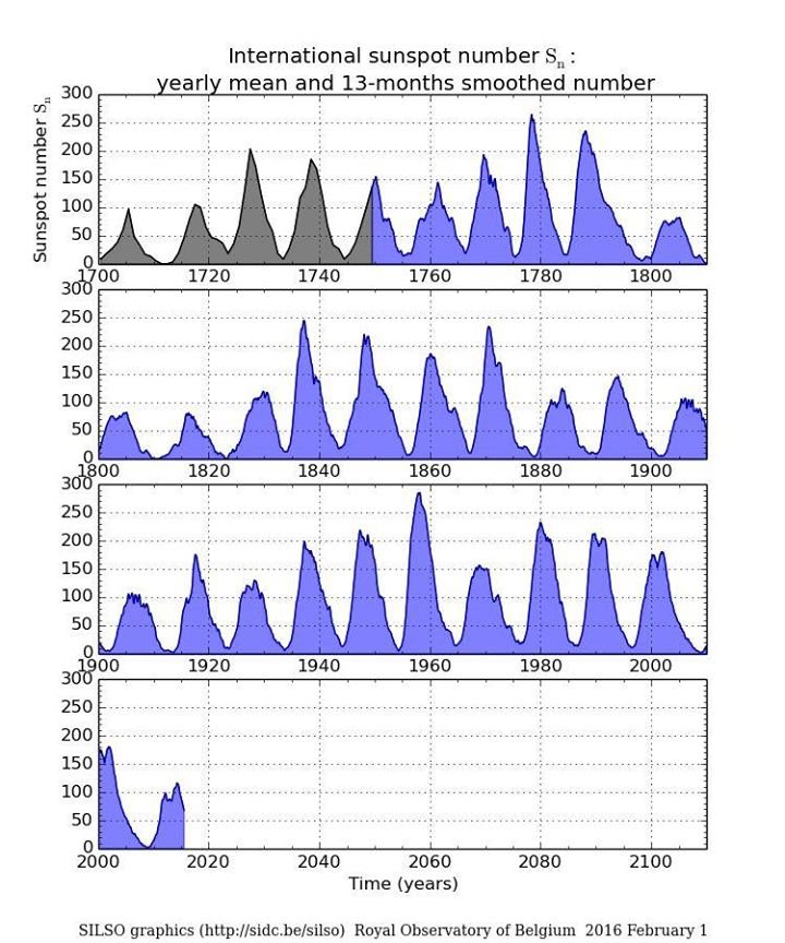 pdf Rapid Diagnosis of Mycoplasmas