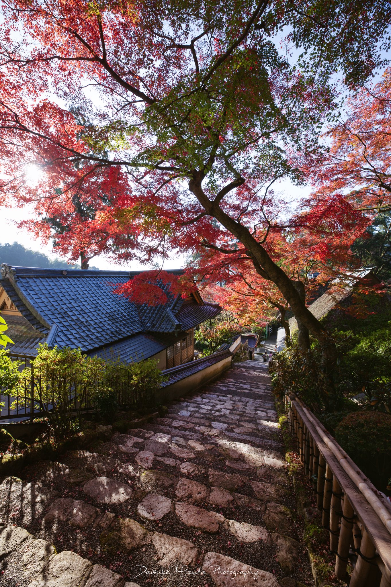 Daisuke 大興善寺の紅葉 始まりかけの紅葉の大興善寺 美しい場所を少しだけご紹介致します まだまだこれから移り変わりながら順番に見頃を迎えていきそうです 大興善寺 T Co 0bgqkpizxb Twitter Daisuke 大興善寺の紅葉 始まりかけの紅葉の大興善寺 美しい場所を少しだけご紹介致します まだまだこれから移り変わりながら順番に見頃を迎えていきそうです 大興善寺 T Co 0bgqkpizxb Twitter