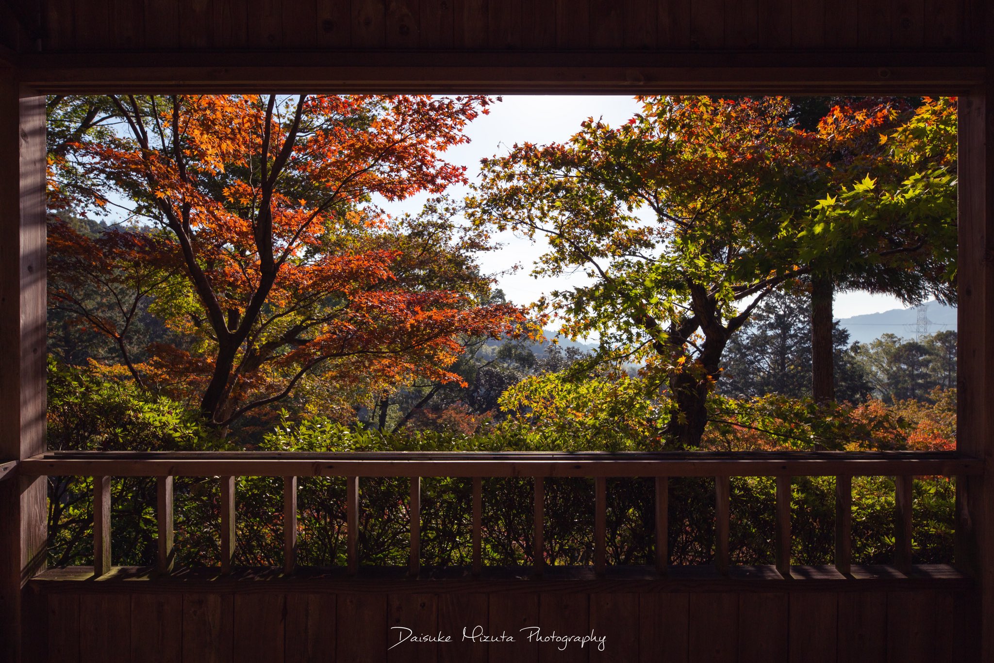 Daisuke 大興善寺の紅葉 始まりかけの紅葉の大興善寺 美しい場所を少しだけご紹介致します まだまだこれから移り変わりながら順番に見頃を迎えていきそうです 大興善寺 T Co 0bgqkpizxb Twitter