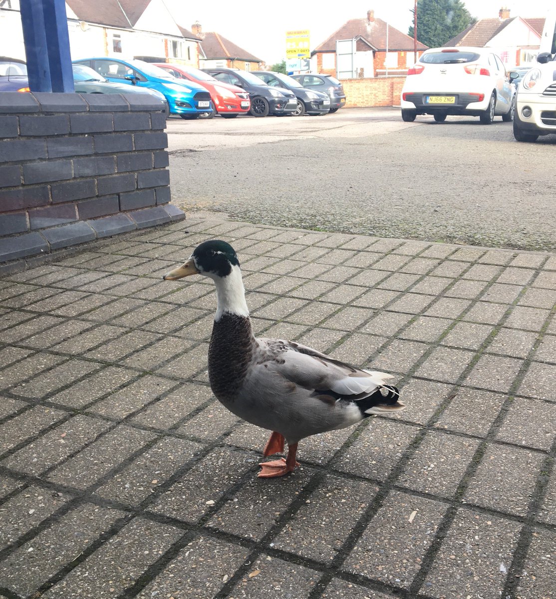 A #Special customer has come to visit us today.