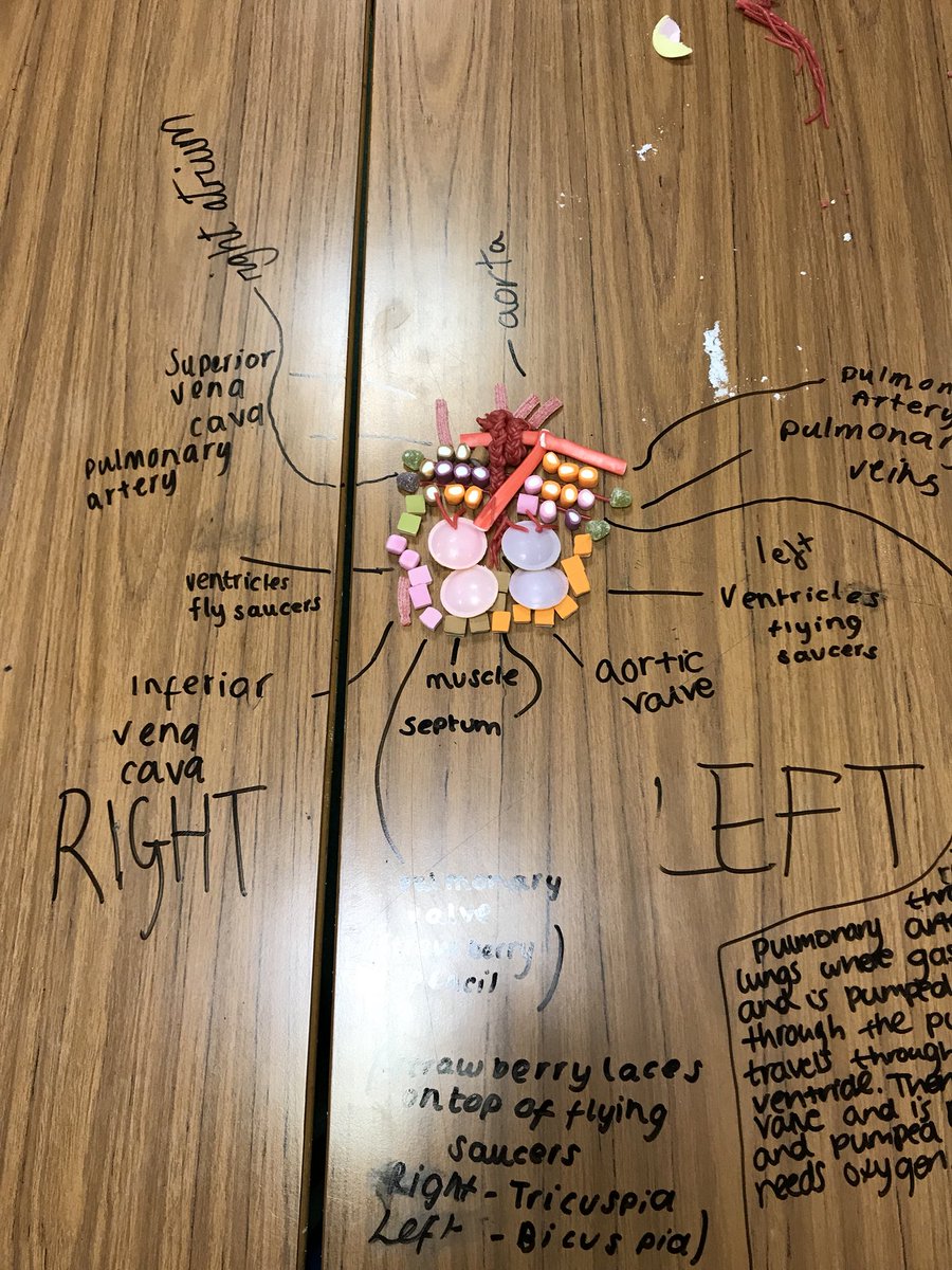laywoodpe's tweet image. Amazing work from my Year 11 GCSE class... Learning the structure and anatomy of the heart using sweets.. PE staff voted on their favourite.. Well done team Team 1!!👌🏼🍬🍭 #cardiovascularsystem #engagement #sweets4mysweets