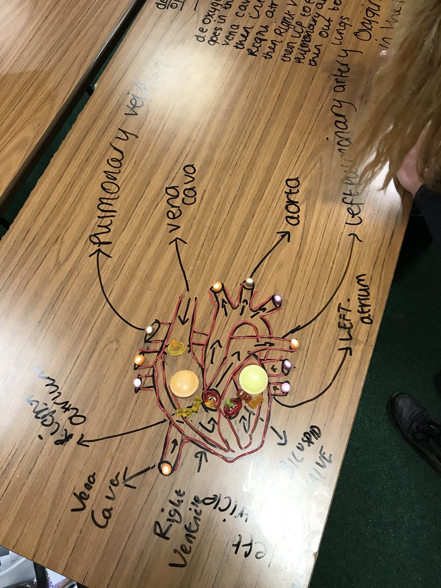 laywoodpe's tweet image. Amazing work from my Year 11 GCSE class... Learning the structure and anatomy of the heart using sweets.. PE staff voted on their favourite.. Well done team Team 1!!👌🏼🍬🍭 #cardiovascularsystem #engagement #sweets4mysweets