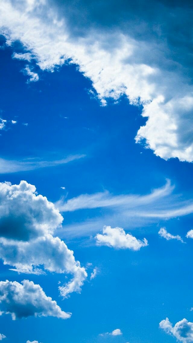 MyStory tweet media