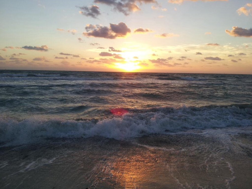 penwriter's tweet photo. Salt water heals everything
#amazingview #natureisbeautiful #naturephotography #exceptional_pictures #beachwaves #beachday #beautifuldestinations #natureelite #stayandwander #getoutstayout #waves #wavesounds #waveshots #wavesdaily #wavesafterwaves #wavescrashing https://t.co/zFil5PmpY3