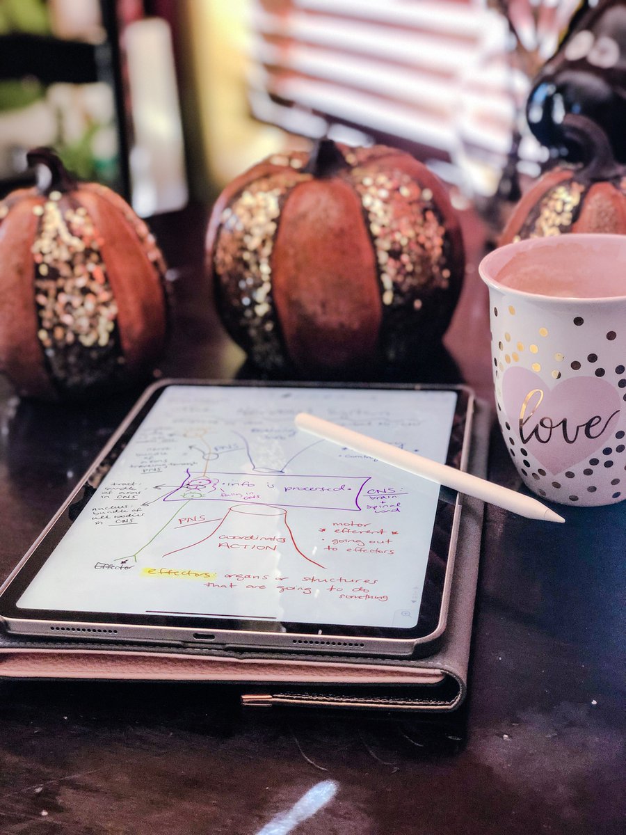 As a student, the #iPadpro has been a total game changer for me.  Read my latest blog post on why you need an ipad Pro!  #rd2be #dietitianstudent #nutritionstudent @Chegg @NotabilityApp @apple toasttoyourhealthblog.com/single-post/20…