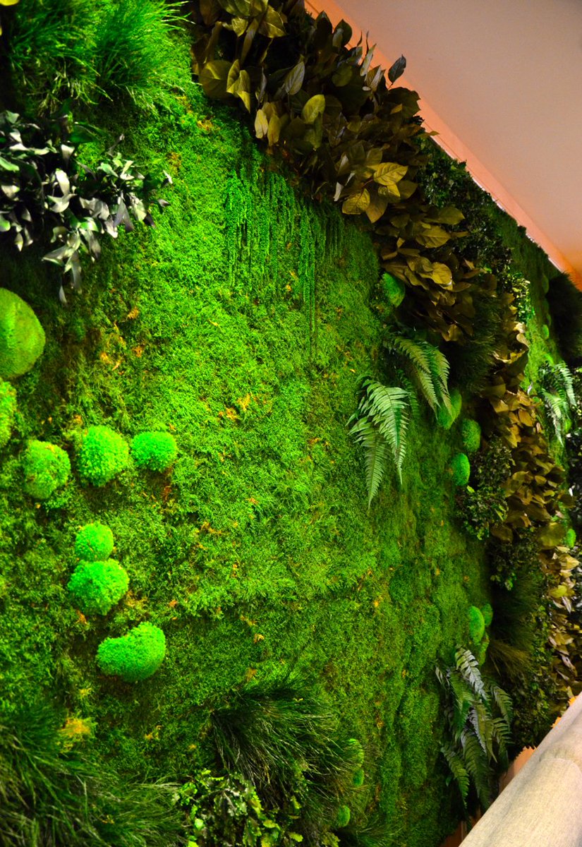 moss on wall on Architek On Twitter Architek Is Happy To Have Recently Completed A Moss Wall Installation At The Bayshore Hotel Here In Vancouver Check Out The Pics Below Or Stop By The Bayshore To