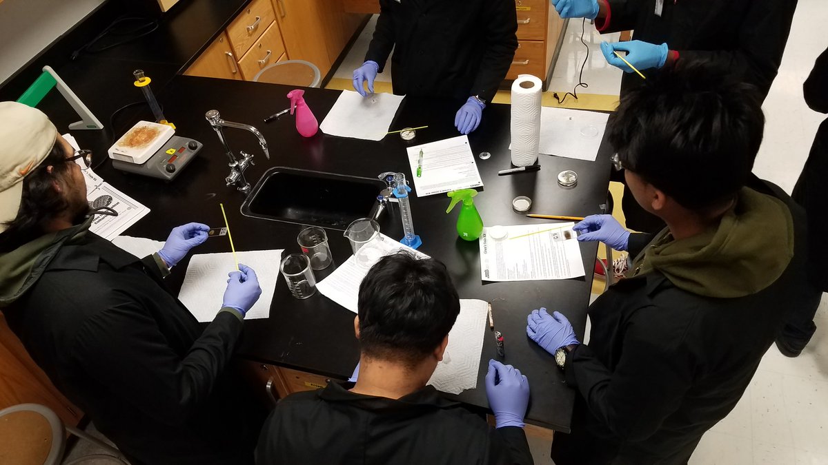 gram staining in biotech 2 #blacklabcoats #biotech2 #biotechnology #bacteria #gramstain @accdistrict @AISD_CTE @VikingCte