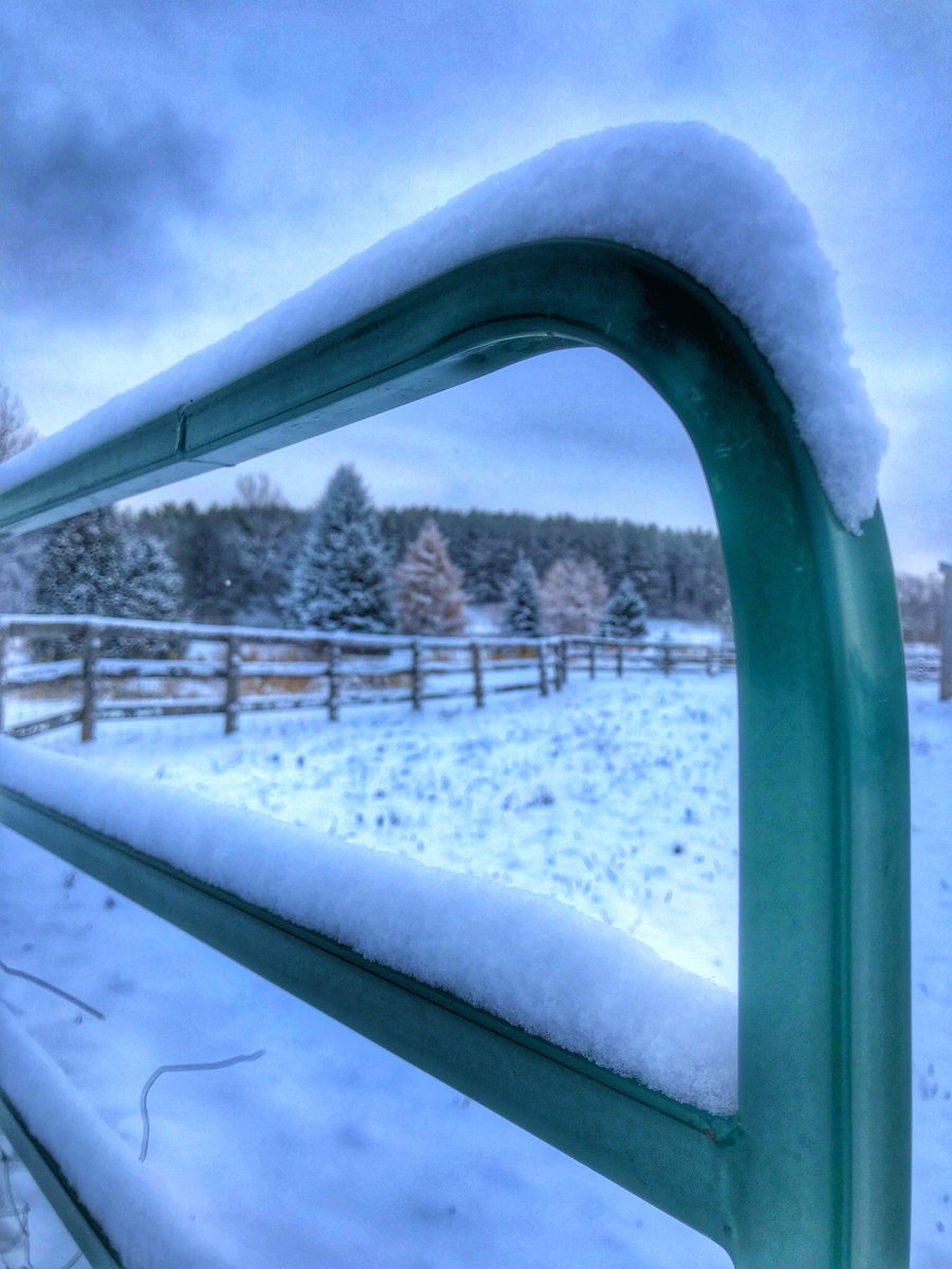 OspreyBeekeeper's tweet photo. #WinterIsComing #eyeofthebeholder .. a real #BEEholder https://t.co/NCWCDf8s0U