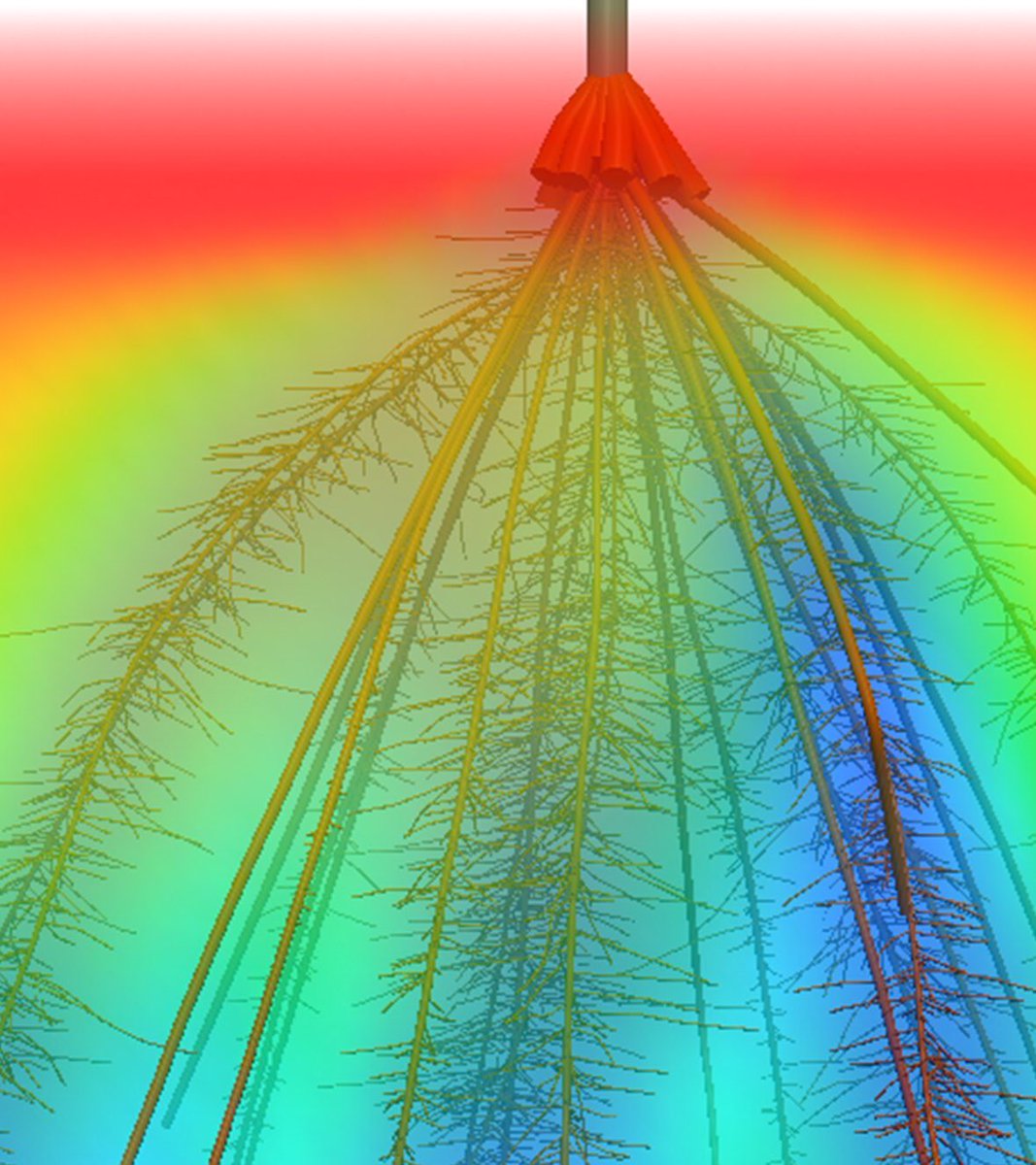 MarkusOwenMMB's tweet image. First #OpenSimRoot Developers Summit @UniofNottingham @UoNCMMB supported in part by @UoN_MASS @LeverhulmeTrust and working towards @UoNFutureFood - see rootmodels.gitlab.io