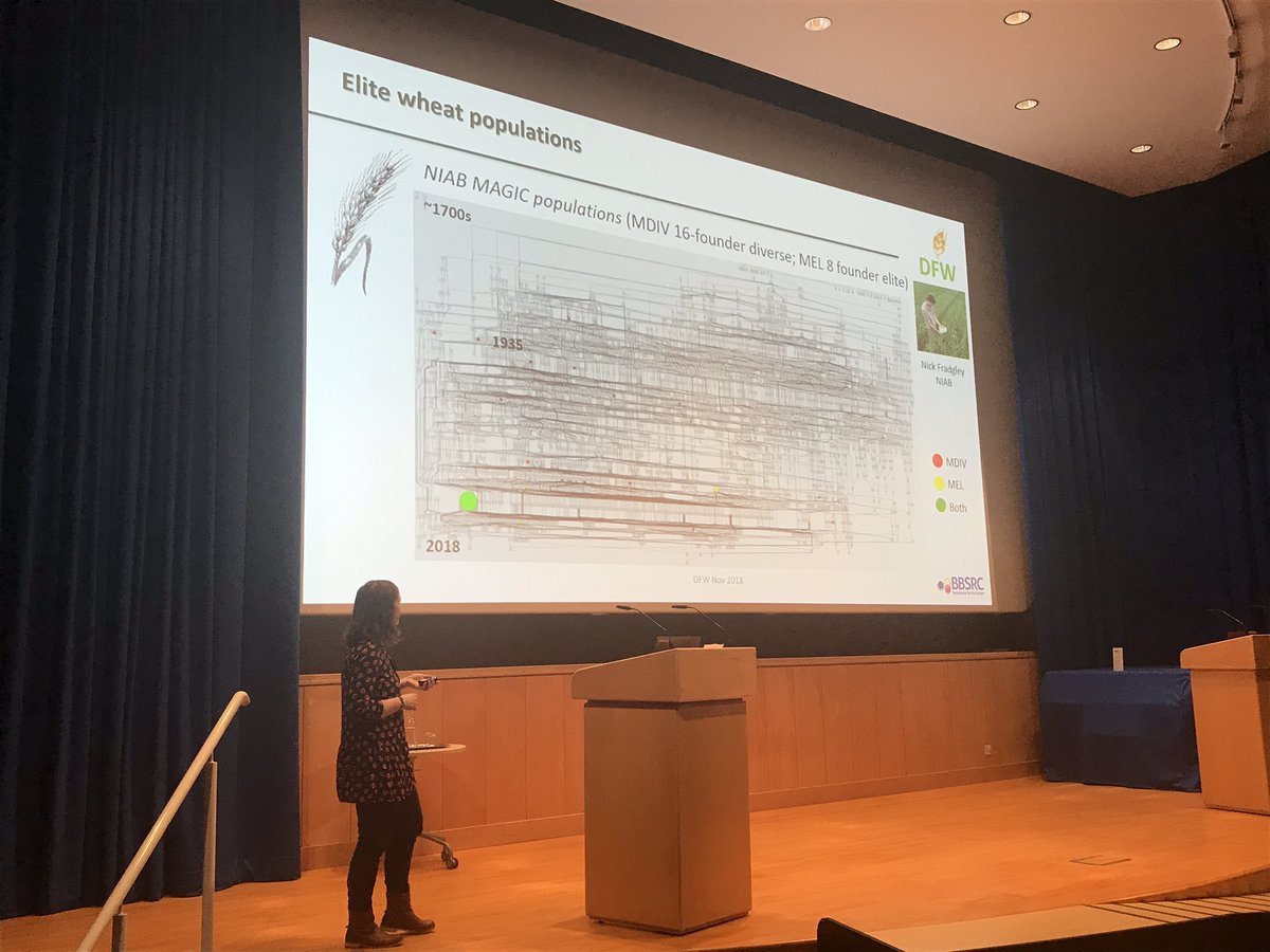 Designing Future Wheat tweet media