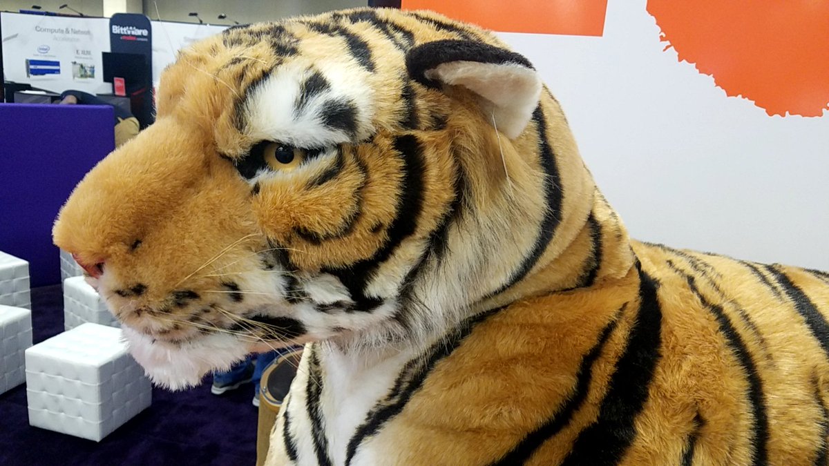 Yamanaka_Lab_B3's tweet photo. #ClemsonSC18
Very Cool Tiger !! https://t.co/QnidgMKWWY