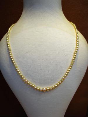 KariPearls's tweet photo. Persian Gulf natural pearl necklace. https://t.co/cBGfe2vXLF

#persiangulf #arabiangulf #basrapearls #naturalpearls #karipearls https://t.co/hztHNaKjiM