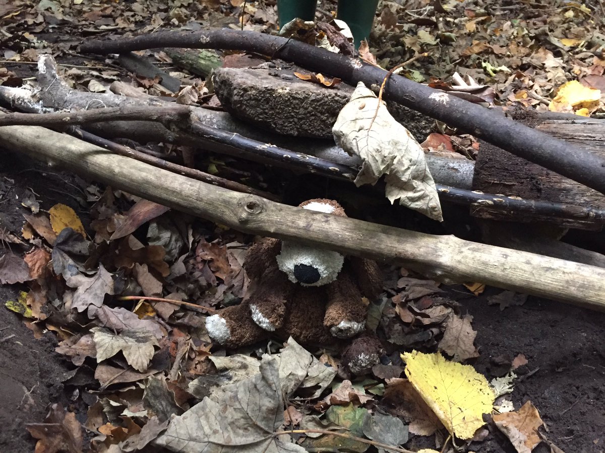 GorseyFS's tweet photo. Todayβs challenge: can you make a waterproof house for Fleabag? Did your home keep him dry when the rain came? #gorseyfs #gorseystem @GorseyY1 https://t.co/mqm6nn69Z3