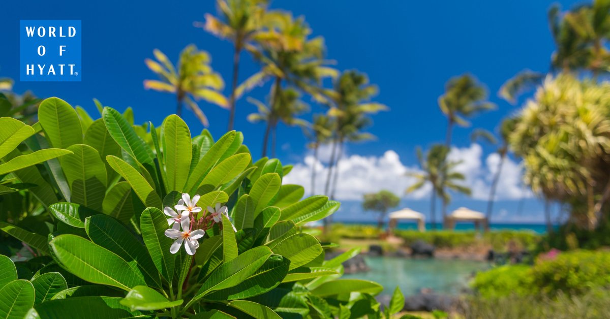 FunjetVacations's tweet photo. Escape to Hyatt Resorts in #Hawaii – Maui, Kauai, and Waikiki – where “Aloha” is more than a greeting; it’s a way of life. https://t.co/4jDdyT5Rhz https://t.co/gAF1UTDMDS