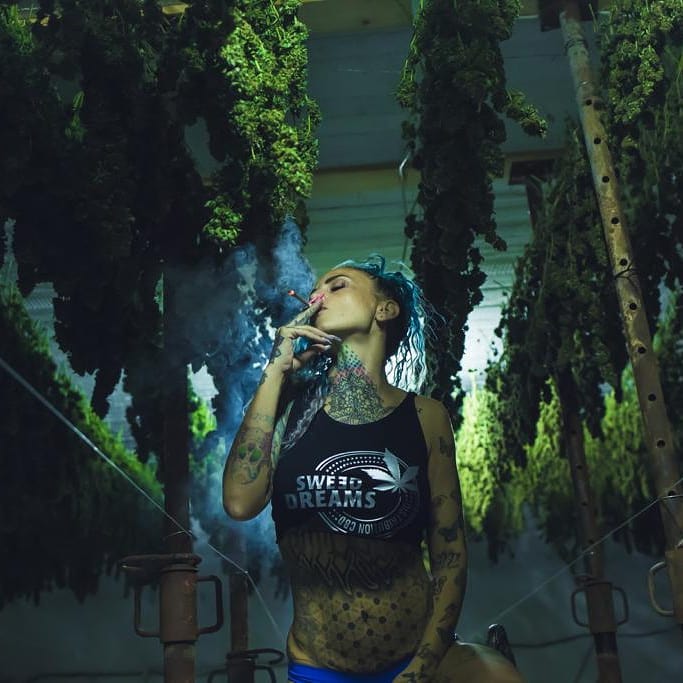 Chronic_Chicks's tweet image. This small chronic break is brought to you by missinkhalabama
Halabama • Alt Model &amp;amp; HSG
#mom 👩‍👦‍👦 #italiantattooer 💉 #altmodel 🍭 #single 🦄 #ganjagirls 🍁
Keep Off
Roma LosAngeles Miami
paypal.me/missinkhalabama
.
.
.
➡ Use #chronicchicks | #chronicstyle