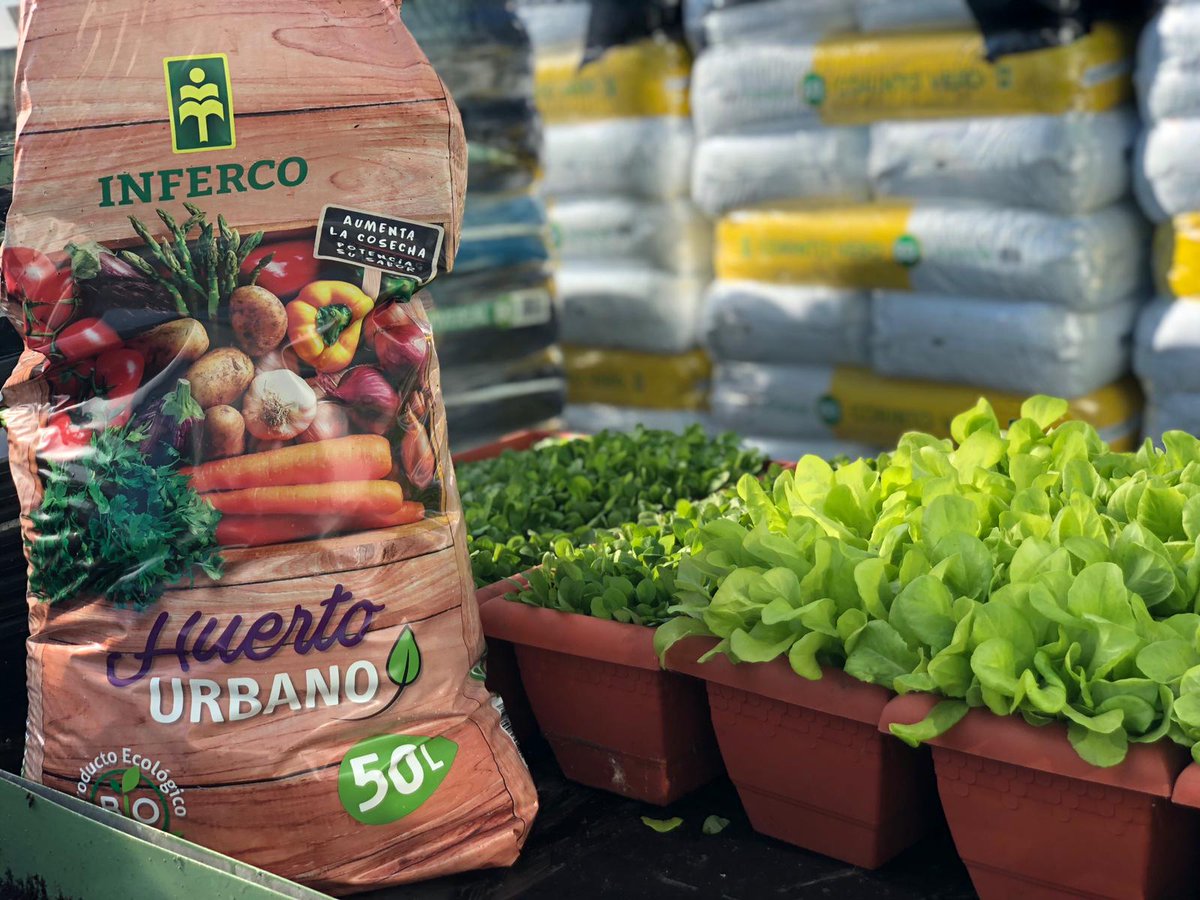 Inferco's tweet image. ¡Cómo nos gusta ver resultados! 👏😁
Como ya sabéis, probamos nuestros productos para dar la mejor calidad, y no podemos estar más contentos con los resultados de nuestro HUERTO URBANO! Estos canónigos están listos para ponerlos en nuestra ensalada y disfrutar de su sabor. 🥗