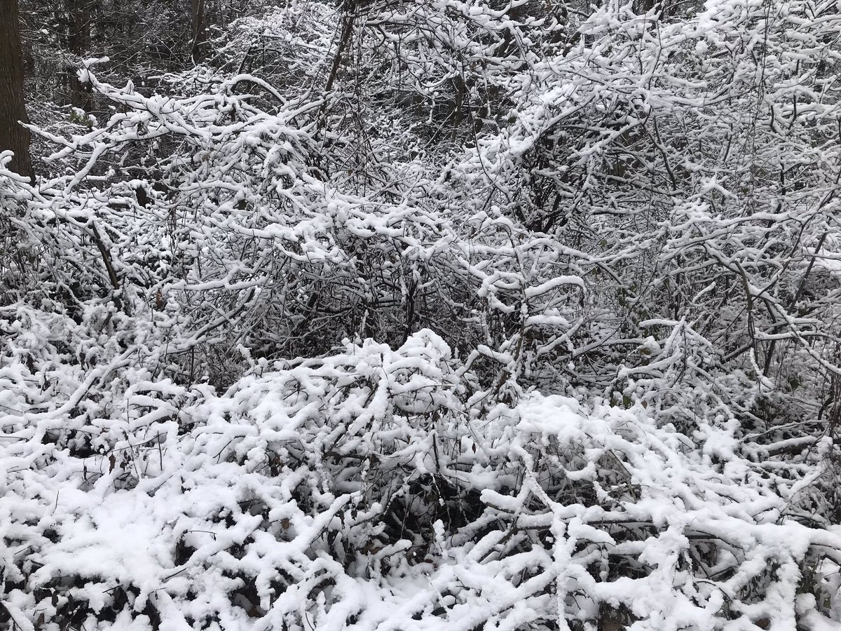 Anthony Farnell tweet media