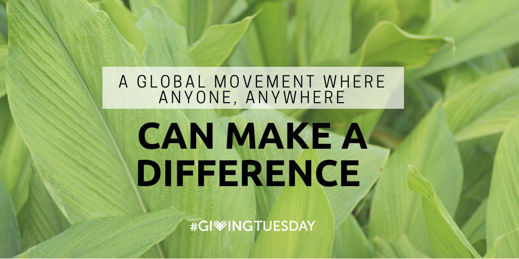 THProj's tweet image. #GivingTuesday is a global giving movement that celebrates your generosity and willingness to make the world a better place. How will you give this year? @GivingTues
