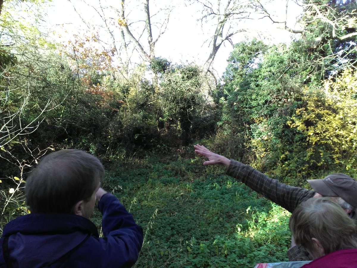 Lovely day and interesting walk around Mickleover Meadows LNR with friends group, <a href="/DerbysWildlife/">Derbyshire Wildlife Trust</a> &amp; ecologists. Discussing options &amp; priorities to go in the new management plan for the reserve. #365wild #lovederby