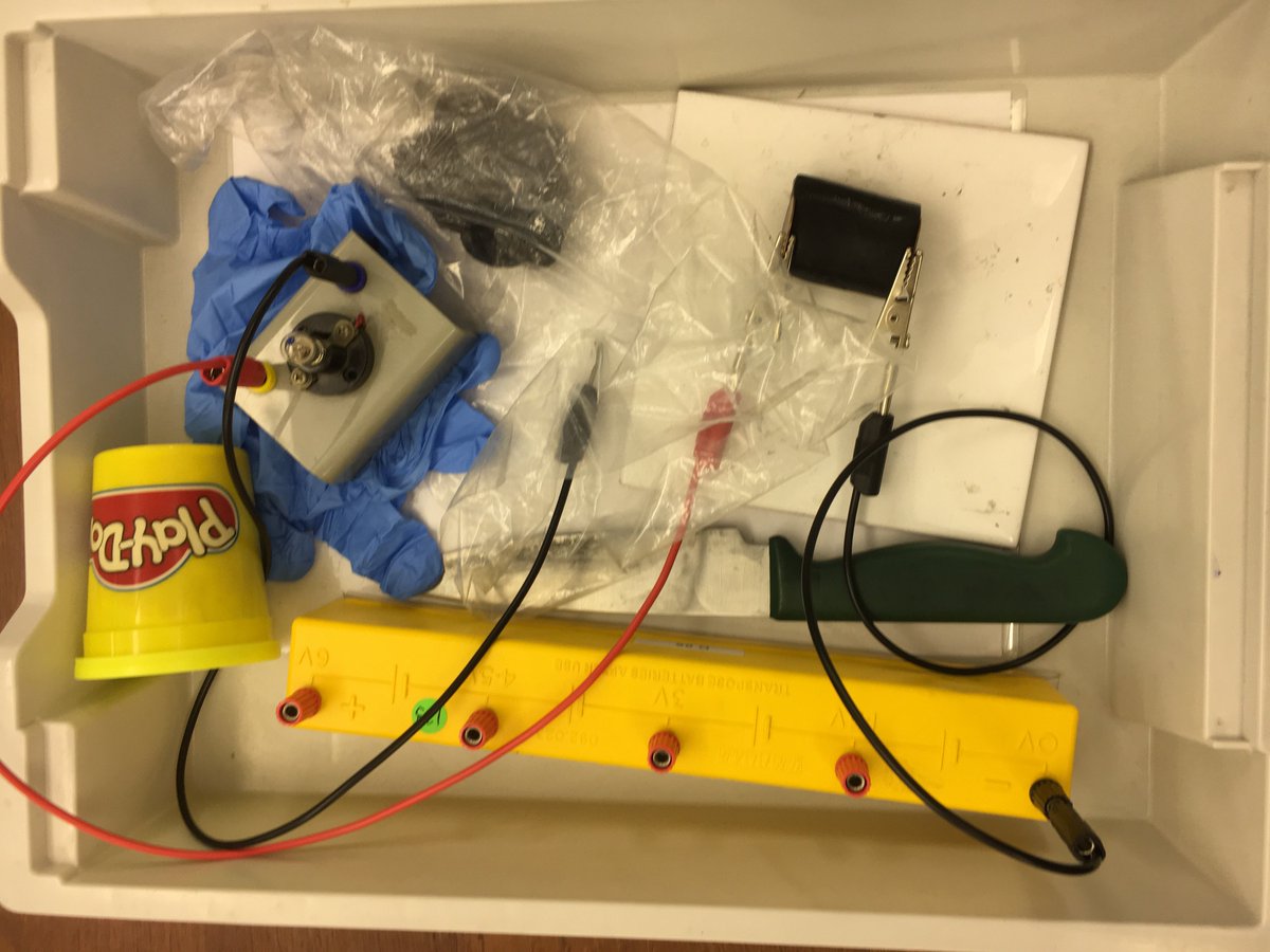 Kings_Partners's tweet photo. Our science CPD for Primary teachers is under way @KingsCanterbury Lots of great and accessible ways to teach electricity in primary schools. Fantastic to see our CPSP partners so engaged with fun teaching ideas. #partnerships #sciencepartners #primaryscience https://t.co/wEB9z1KayG