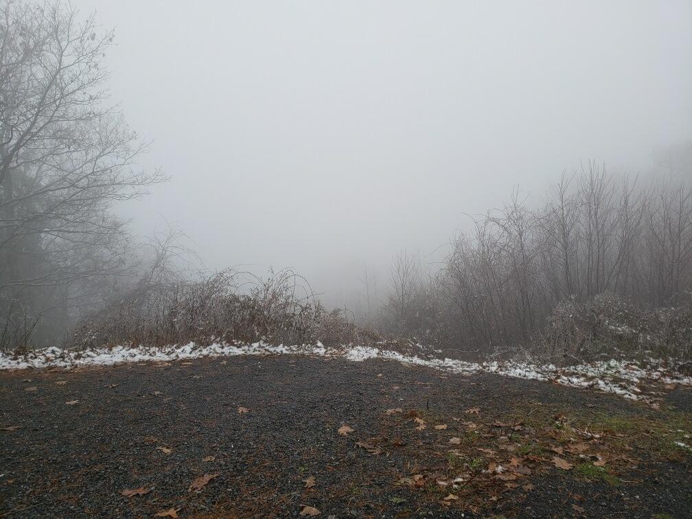 NWSStateCollege's tweet photo. Temperatures were well above freezing in most locations this morning, but colder temperatures at higher elevations resulted in some freezing drizzle. A thin layer of ice coated vegetation at Jo Hays Vista near State College. Photos from Niki, one of our student volunteers! #PAwx https://t.co/seZKbjx0Qh