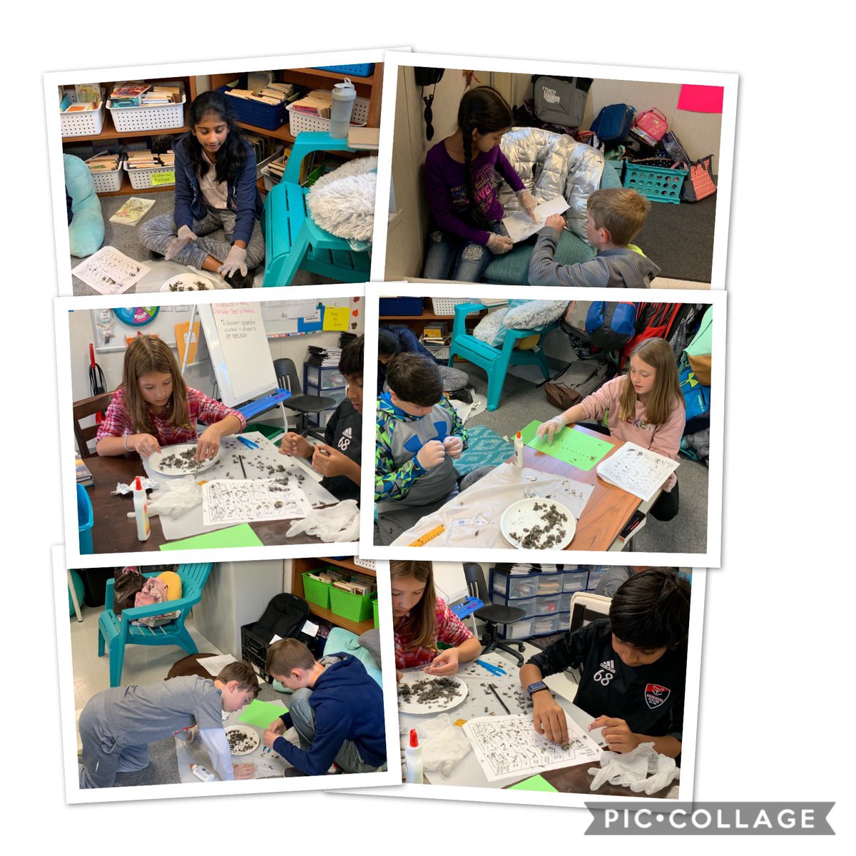 JanieBarker17's tweet photo. American Education Week! Dissecting Owl Pellets! @MadisonsTrust16 https://t.co/zi184y3ClV