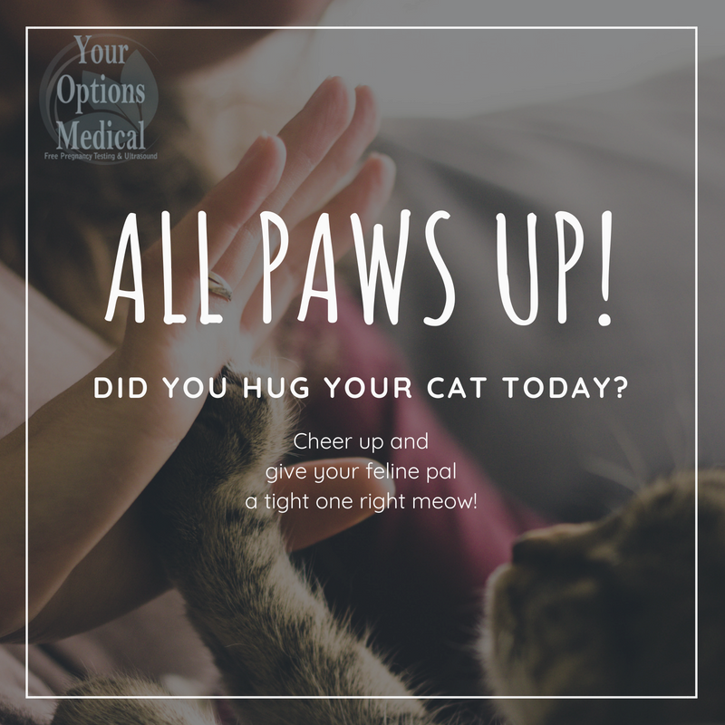 YOM_MedCenters's tweet photo. Need a pick me up? Hug your furry friend and get a smile #HugAKitty #Smile #ItsContagious #BeHappy https://t.co/qlj6hSDJ2c