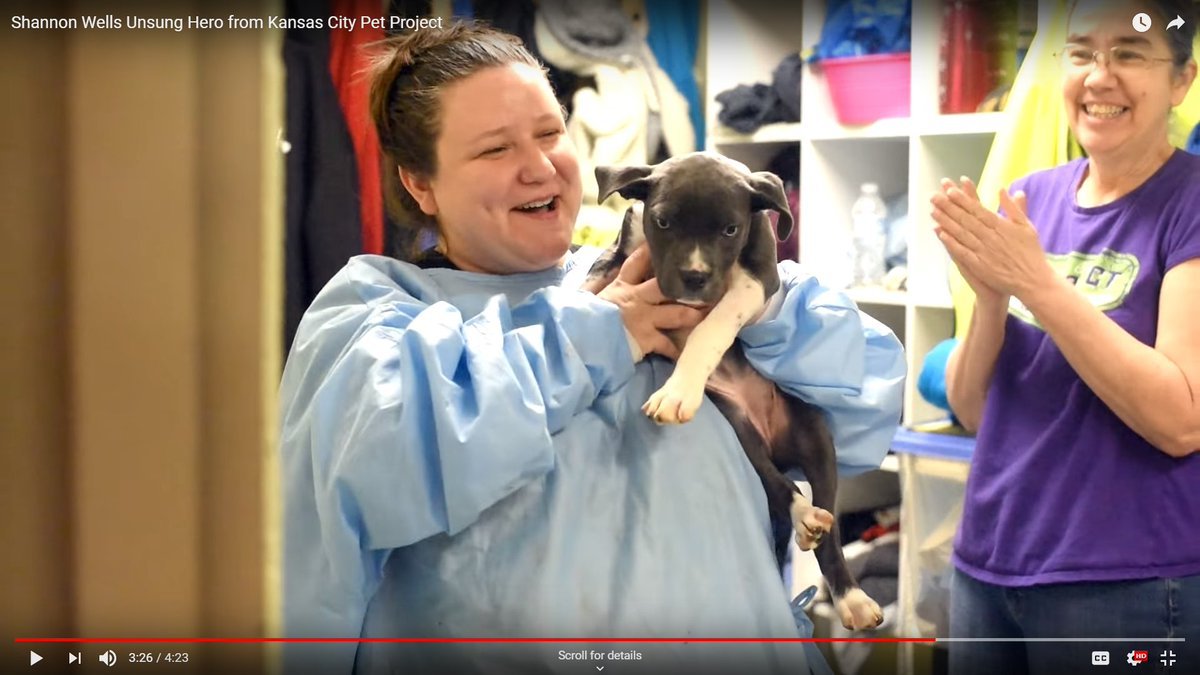 Help <a href="/kcpetproject/">KC Pet Project</a> win the <a href="/npconnect/">Nonprofit Connect</a> People’s Choice Award by tweeting using #PhillysKC &amp; #KCPetProject! Votes counted until 6pm tonight!