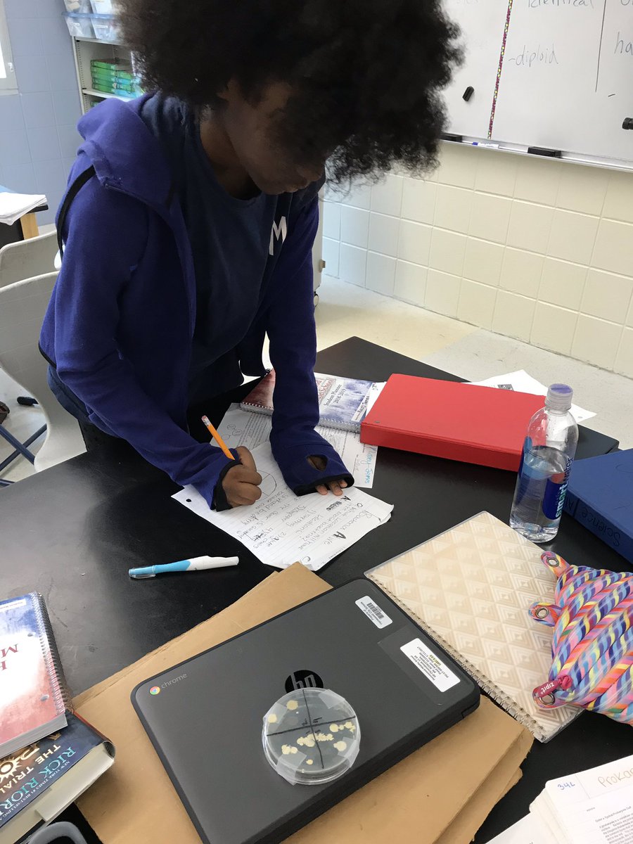 Growing bacteria in 7th grade science #hwdms
