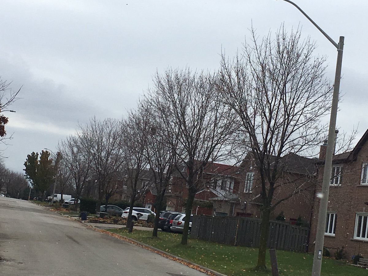 DCCImmigration's tweet image. End of fall...barren trees...hello winter! #canada #endoffall #winter #winterincanada #desichalecanada