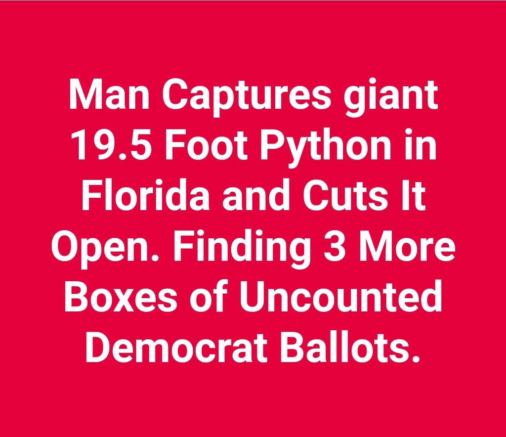 dmills3710's tweet image. More Boxes Of Votes Found 🚀🚀 #StopTheSteal #RestoreElectionIntegrity 🇺🇸🛡🇺🇸 @POTUS @freedomcaucus @GOP @GenFlynn