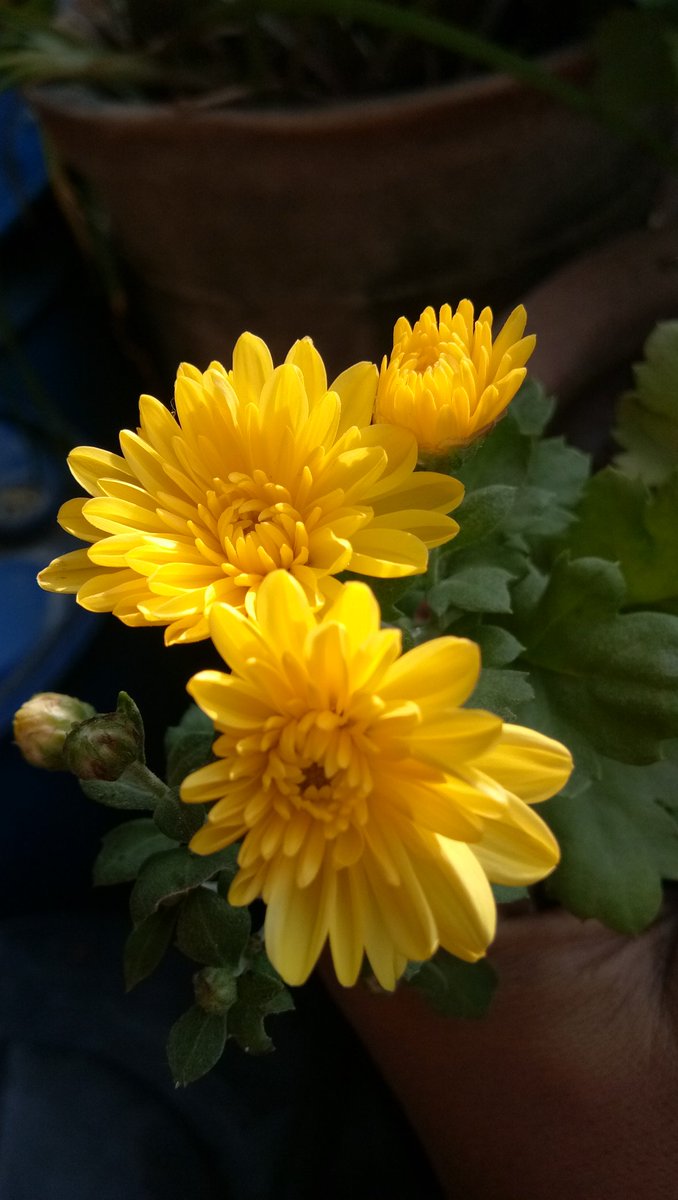 tadvi_prashant's tweet photo. https://t.co/vKf2puyF9h