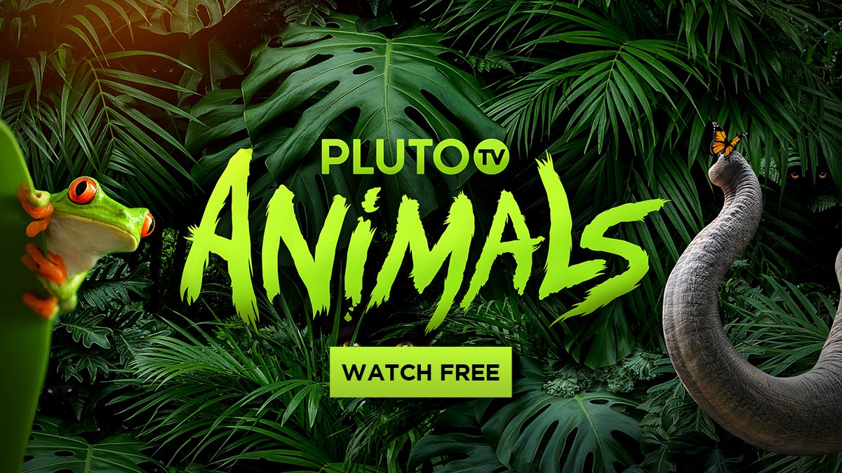 Pluto TV on Twitter: Pluto TV on Twitter: