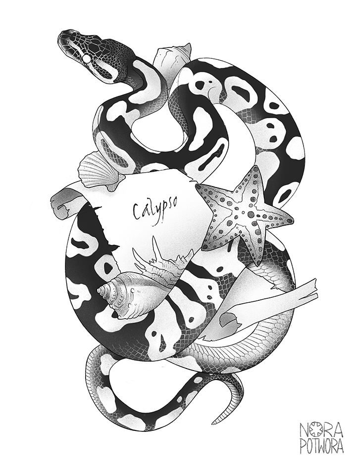 ball python tattoo designs lineartdrawingsflowersideas