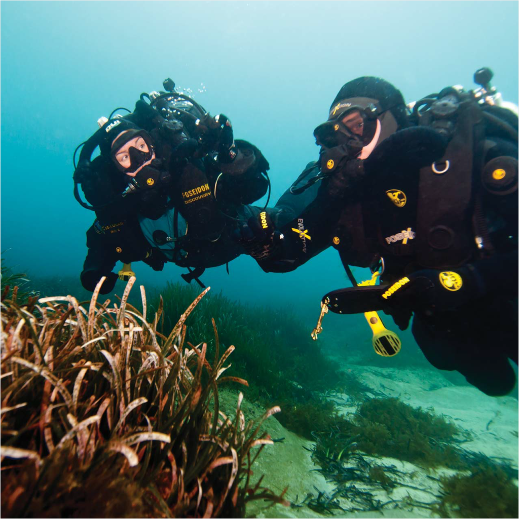 PADITecRec's tweet photo. New Standards Published by Rebreather Training Council https://t.co/EzmGSR3PDx https://t.co/G2klLtKtHn