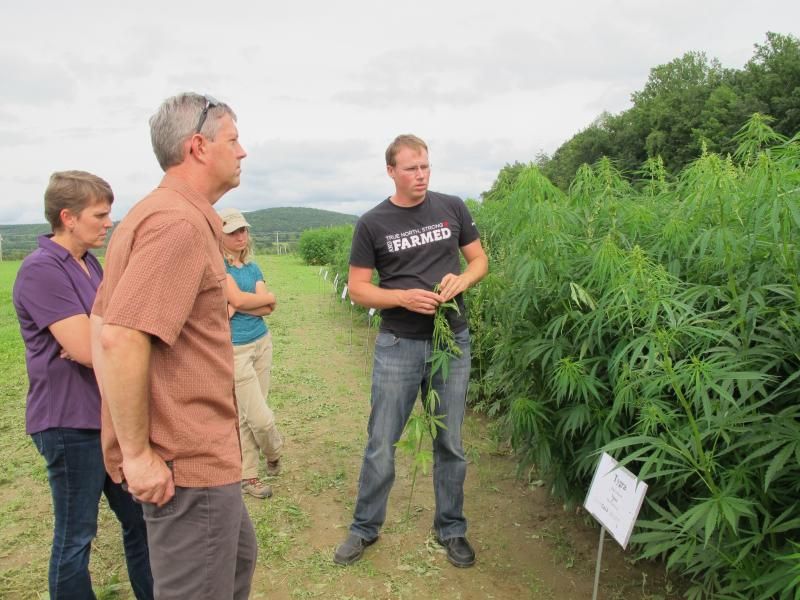 hellogramsly's tweet image. Industrial hemp has potential for use in food sources, textiles, building materials, and pharmaceuticals. To learn more about the research efforts in this space, R&amp;amp;D Magazine spoke to a professor at Cornell University. buff.ly/2Ivbt4L